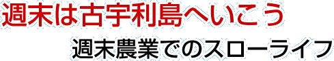 恋島ファームの週末は古宇利島へいこう！週末農業でのスローライフ！！